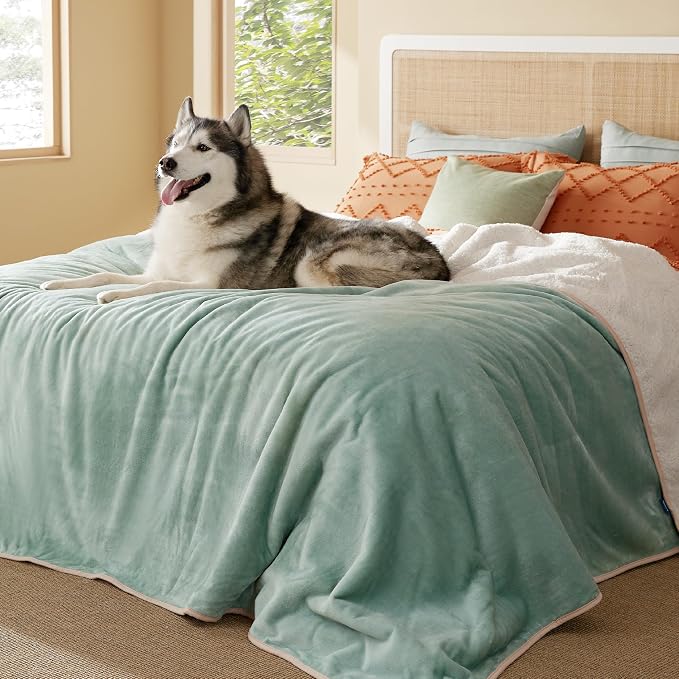 Bedsure Waterproof Blanket for Bed Soft Sherpa Fleece Throw,King 108"x86" | Plush Cozy Calming Reversible Dog Blankets for Large Senior Dogs,Warm Bed Couch Cover,Pet Furniture Protector,Light Green by Unknown