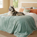 Bedsure Waterproof Blanket for Bed Soft Sherpa Fleece Throw,King 108"x86" | Plush Cozy Calming Reversible Dog Blankets for Large Senior Dogs,Warm Bed Couch Cover,Pet Furniture Protector,Light Green by Unknown