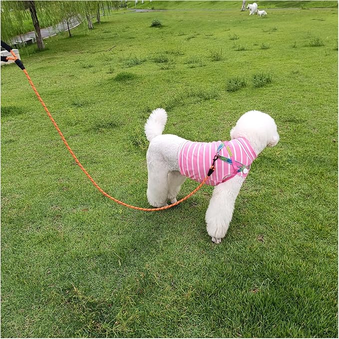MayPaw Heavy Duty Rope Dog Leash, 3/4/5/6/7/8/10/12/15 FT Nylon Pet Leash, Soft Padded Handle Thick Lead Leashes for Large Medium Dogs (Orange, 1/2" * 8') - Image 7