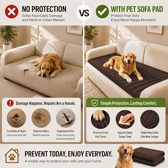 BIETYONE Couch Cover for Dogs, Washable Non Slip Sofa Protector for Pets | Washable, Non Slip, Soft Fabric, Pet Friendly, Protects Against Pet Fur, Dirt & Messes, Sofa Furniture Protector - Image 2