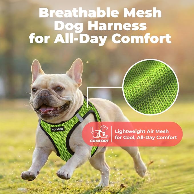 Voyager Step-in Air Dog Vest Harness - Lime Green 2-Tone, Large | 18- 20.5" in Chest, Reflective Bands, All Weather Breathable Air Mesh, Cats Compatible, Lightweight, Fast Drying - Image 5