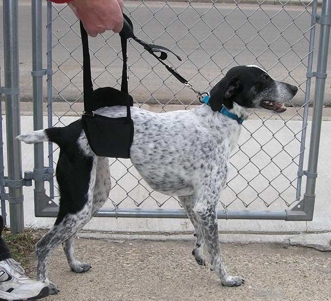 Dog Support Sling Rear Leg Harness, SM Male, Machine Wash & Dry | Fits Small to Medium Size Pets or Larger Barrel-Chested Breeds like Boxers, Bullies. Male Dachshunds use XS Size. Made in USA - Image 6