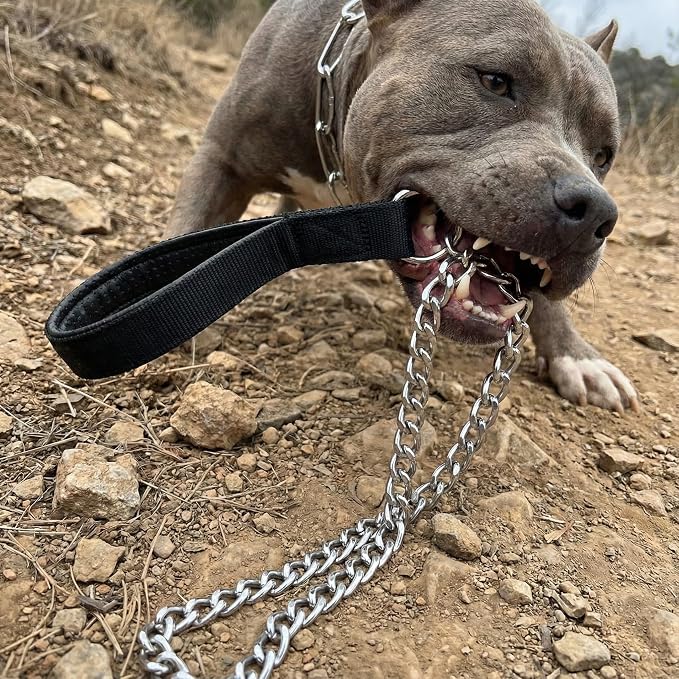 Heavy Duty Dog Chain Leash, 6 ft x 3.0 mm (25-120 lbs) | Padded Handle for Large & Medium Size Dogs - Image 2