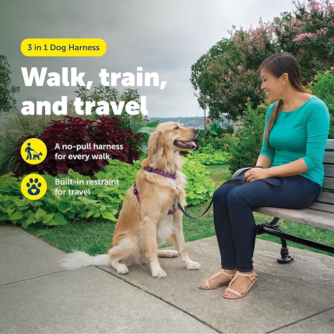 PetSafe 3 in 1 Harness - Fully Adjustable No-Pull Dog Harness - From the Makers of the Easy Walk Harness - Large, Plum | Rests on Chest Not Throat to Reduce Pulling, 5 Adjustment Points, Car Restraint Seatbelt Loop, Reflective Nylon for Low Light - Image 2