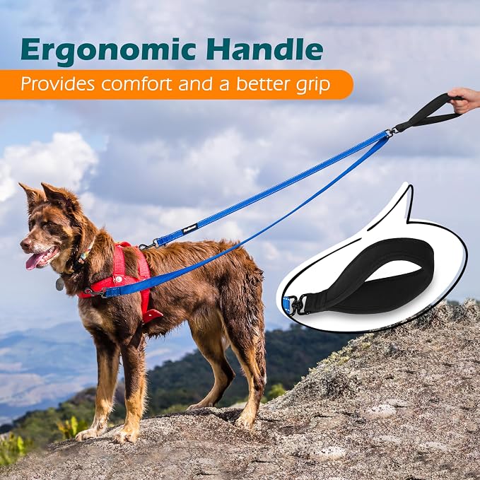 PetBonus Two Point Control Dog Leash, No Tangle Training Walking Leashes | Soft Padded Handle, Reflective, Works with No Pull Harnesses, Converts to Single Lead for Medium Large Dogs, Blue - Image 5