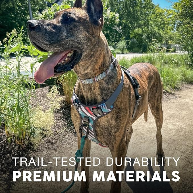 Embark No Pull Dog Harness, Reflective Adjustable Training Vest, No Choke | Adjustable straps fit all dog breeds with sturdy hooks; 360° reflective trim, soft padded Harness Design for All Dogs - Image 5