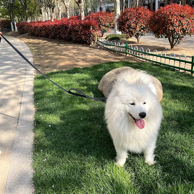 Joytale Dog Leash for Large Dogs that Pull, Double Handle, 5FT, Black | Traffic Handle for Control, Padded Handle Reduces Hand Strain, Reflective Stitching for Night Safety, Strong Nylon Webbing - Image 3