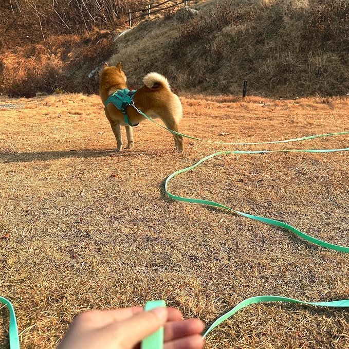 Waterproof Long Leash Durable Dog Recall Training Lead Great for Outdoor Hiking, Training, Yard, Beach and Swimming (Light Green, 50ft) - Image 6