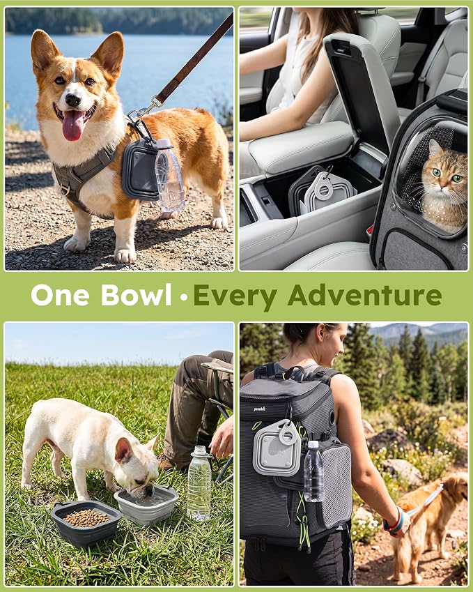 Pecute 2 Pack Foldable Travel Dog Bowls, Portable Silicone, Grey/Dark Grey | Food-Grade Silicone, BPA Free, with Carabiner Clip for Hiking, Durable & High Quality, Dishwasher Safe, 15oz Per Bowl - Image 7