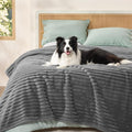 Bedsure ComfyFleece™ Waterproof Blanket for Bed, Queen（86"x108"） Warm Grey | Soft Plush Bed Couch Cover Corduroy Fleece for Furniture Protector, Cozy Calming Reversible Dog Blankets for Large Dogs Pet by Unknown