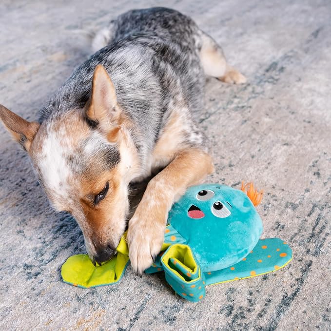 Outward Hound Nina Ottosson Silly Legz Octopus Dog Toy Treat Puzzle, 13.8" | Roll-Up Legs, 15 Hidden Treat Pockets, Plush Floppy Body, Squeaker in Head, Interactive Snuffle & Seek, Dogs & Puppies - Image 5
