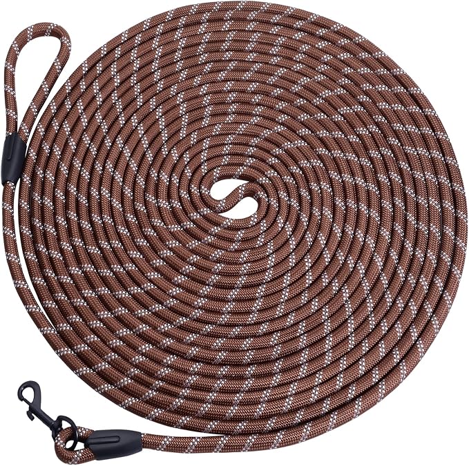 Long Dog Leash for Training 30Ft-Reflective Nylon Rope with Swivel Hook-Recall Agility Lead for Large Small Medium Dogs Outside Walking Hiking-Brown by HiKiss