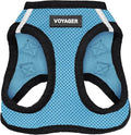 Voyager Step-in Air Dog Vest Harness - Baby Blue/Black Trim, Small | 14.5-16" in Chest, Reflective Bands, All Weather Breathable Air Mesh, Cats Compatible, Lightweight, Fast Drying by BestPetSuppliesLLC
