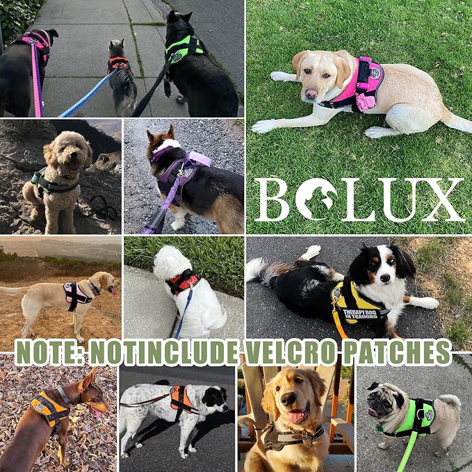 Dog Harness, No-Pull Reflective Dog Vest, Breathable Adjustable Pet Harness with Handle for Outdoor Walking - No More Pulling, Tugging or Choking - Image 7