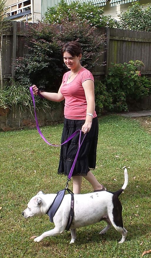 Dog Leash 6ft Long,Traffic Padded Two Handle,Heavy Duty,Reflective Double Handles Lead for Control Safety Training,Leashes for Large Dogs or Medium Dogs,Dual Handles Leads(Purple) - Image 3
