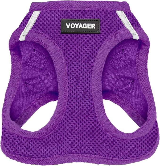 Best Pet Supplies Voyager Step-in Air Harness - All Weather Mesh, Reflective, No Pull Harness for Dogs, Cats - Secure with Hook & Loop Fastener, Buckle, Double D-Rings - Purple, XXS by BestPetSuppliesLLC