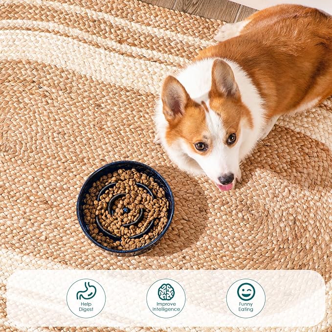 vancasso Slow Feeder Dog Bowl, 1.5 Cup Ceramic Puzzle Dish for Medium Breed | Maze Dog Food Bowl for Fast Eaters, Slow Feeding Design for Medium Dogs, Promotes Healthy Eating Habits, Blue - Image 5