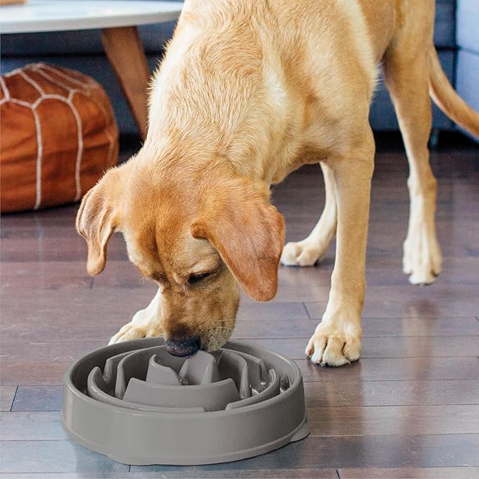Outward Hound Fun Feeder Slo Bowl Dog Slow Feeder, Drop, Gray, 11.8" | Slows Fast Eaters, Can Aid Digestion, Holds 4 Cups Dry or Wet Food, Non-Slip Base, Easy Clean, No BPA, Medium to Large Dogs - Image 6