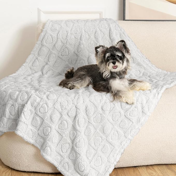 gogobunny Large Pet Blanket for Dogs Cats, Ultra Soft 300GSM Coral Fleece Washable Furniture Protector for Couch Bed Car Seat, Calming Crate Mat Blanket for Large Breeds, Light Grey, 40x50IN - Image 5