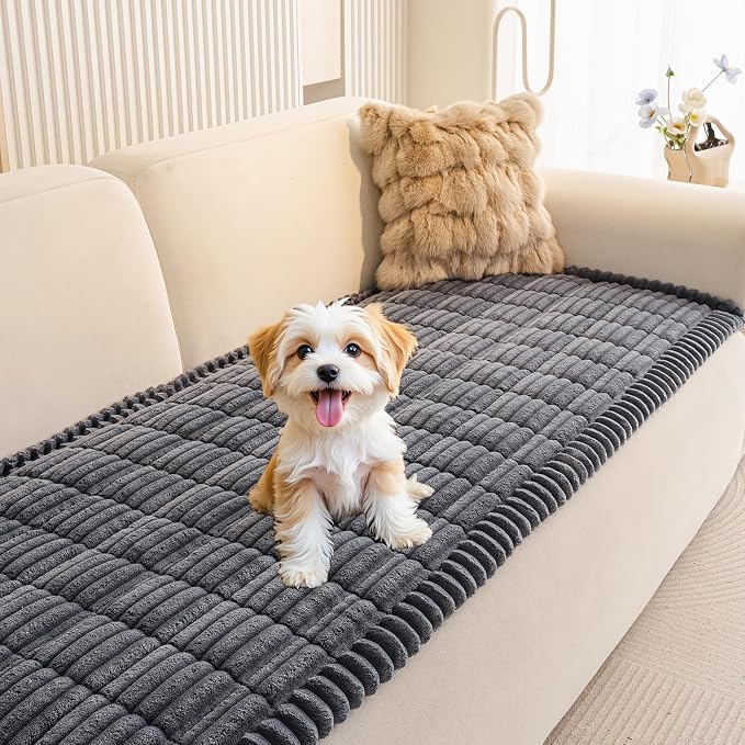 MEETSKY Couch Covers for Sofa, Non Slip Sofa Cover for 2 Cushion Couch | Soft Washable Sofa Cover for Loveseats, Dog Mat for Couches, Against Pet Hair & Scratch, Pet Friendly, Dark Grey, 27.6" x 59" by MEETSKY