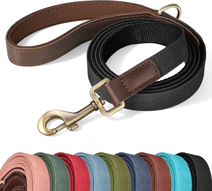PU Leather Dog Leash for Small Dogs, 5ft Soft Padded Handle, Black | Comfortable Grip for Daily Walking Training, Full Control, Metal D-ring, Tangle-Free 360° Swivel Clasp, Easy to Clean, 5/8in by Didog
