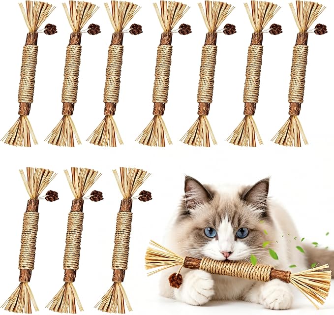 BAWAN Silvervine Sticks Cat Chew Toys for Indoor Cats Dental Care Teeth Cleaning, Natural Kitten & Cat Teething Toys for Health, Cat Chew Stick Suitable for All Breeds of Aggressive Chewers Cat by BAWAN