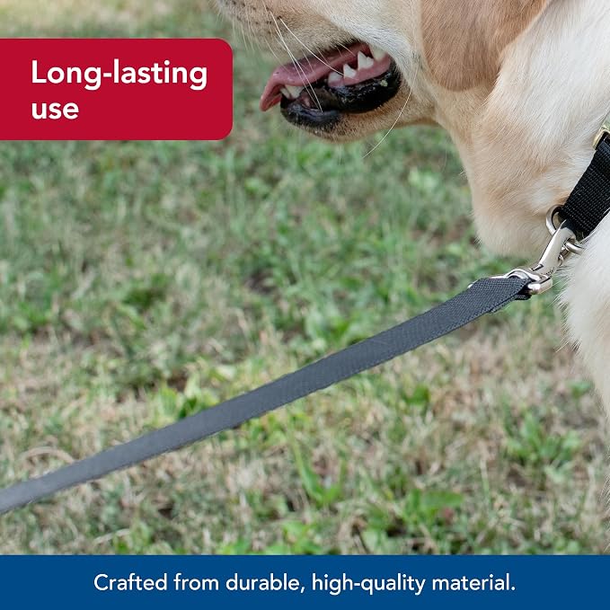 Coastal Pet Single-Ply Dog Leash - Sturdy Pet Leash - Comfortable & Stylish - Resists Fraying - Vibrant & Fade-Resistant Color - Black, 5/8" x 6' - Image 3