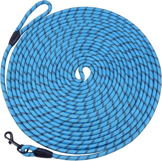 Long Dog Leash for Training 30Ft-Reflective Nylon Rope with Swivel Hook-Recall Agility Lead for Large Small Medium Dogs Outside Walking Hiking-Sky Blue by HiKiss