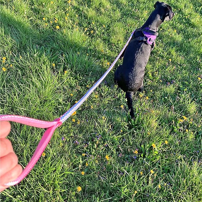Reflective Dog Leash 2/3/4/6/10ft Braided 1/2" Strong Nylon Rope | 6FT Pink Dog Leash for Large Medium Small Dogs Walking Training Leads - Image 8
