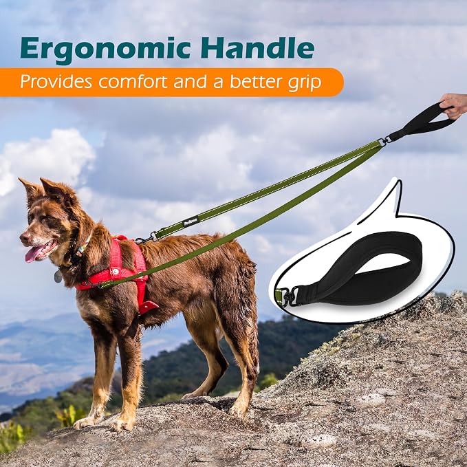 PetBonus Two Point Control Dog Leash, No Tangle Training Walking Leashes | Soft Padded Handle, Reflective, Works with No Pull Harnesses, Converts to Single Lead for Medium Large Dogs, Khaki Green - Image 5