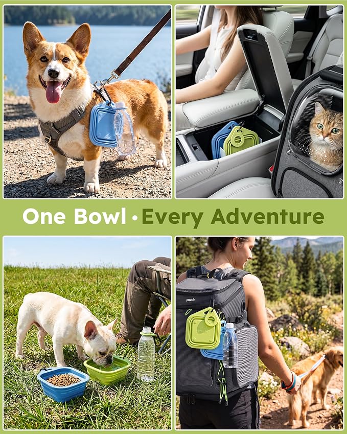 Pecute 2 Pack Foldable Dog Bowls for Travel, Portable Silicone, Blue/Green | Food-Grade Silicone, BPA Free, with Carabiner Clip for Hiking, Durable & High Quality, Dishwasher Safe, 15oz Per Bowl - Image 7