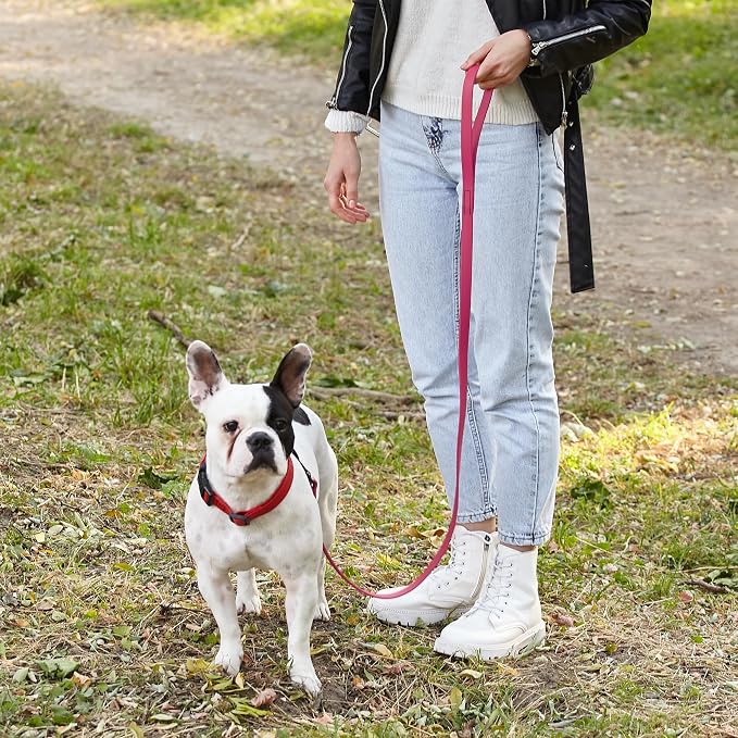 Dogline Biothane Waterproof Dog Leash Strong Coated Nylon Webbing with Black Hardware Odor-Proof Easy to Clean High Performance for Small or Large Dogs Made in USA 4 or 6 ft Lead, Passionfruit Pink - Image 7