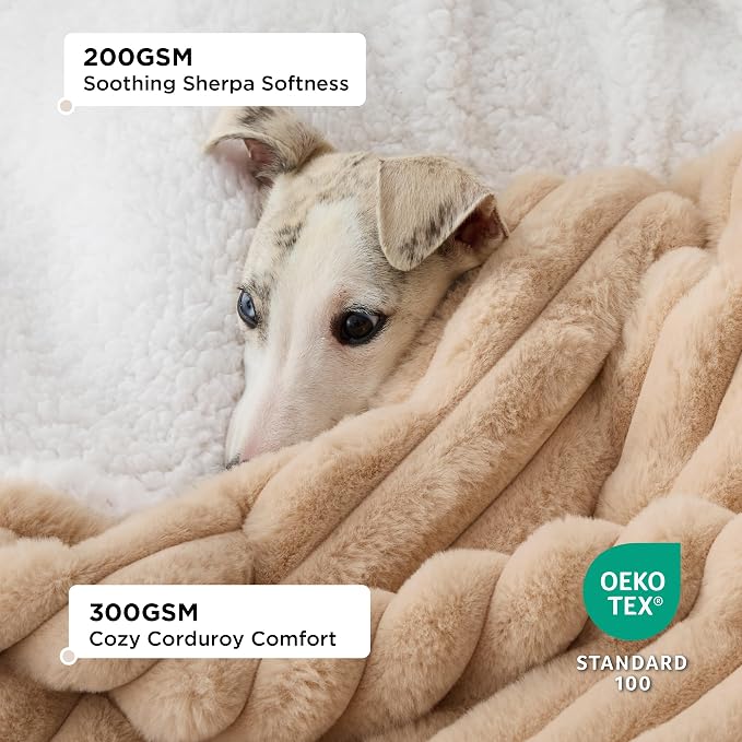 Bedsure ComfyFleece™ Waterproof Blanket for Bed, Twin（60"x80"） Tuscan Beige | Soft Plush Couch Bed Cover Corduroy Fleece for Furniture Protector, Cozy Calming Reversible Dog Blankets for Large Dogs Pet - Image 2