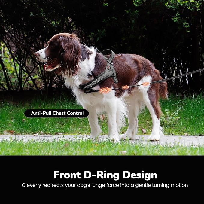 No Pull Dog Harness for Large Dogs, Breathable Mesh Padded, Black, L | Quick Fit, Easy On and Off, Adjustable, Reflective Vest Harness for Night Safty, Easy for Walking and Training, Chest 26-32" - Image 5
