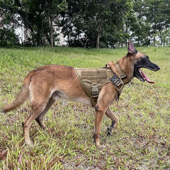 ICEFANG Tactical Dog Harness,X-Large Size, 2X Metal Buckle,Working Dog MOLLE Vest with Handle,No Pulling Front Leash Clip,Hook and Loop Panel - Image 2