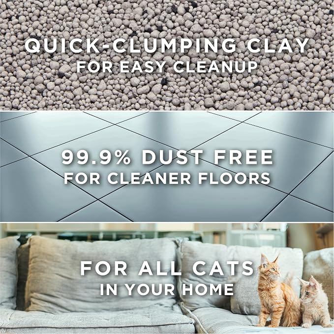Purina Tidy Cats Free and Clean Unscented Clumping Cat Litter, 38 lb Box | Activated charcoal delivers lasting odor control, made without fragrances or dye, clumping - Image 4