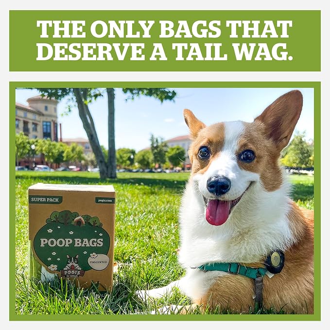 Pogi’s Dog Poop Bags with Handles – Extra-Thick, Leak-Proof, Large, Fresh Scent, 900-Count - Image 2