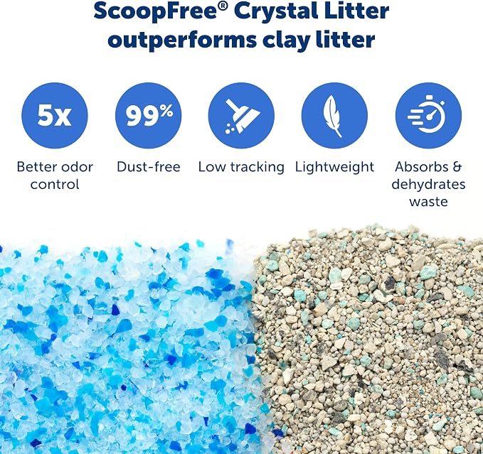PetSafe ScoopFree Disposable Crystal Litter Tray, Fresh Scent, 3 Pack | No-Scoop Crystal Cat Litter, 5x Faster Odor Control, 99% Dust-Free, Easy Cleanup, Leak-Proof Disposable Tray Refill with Lid - Image 4