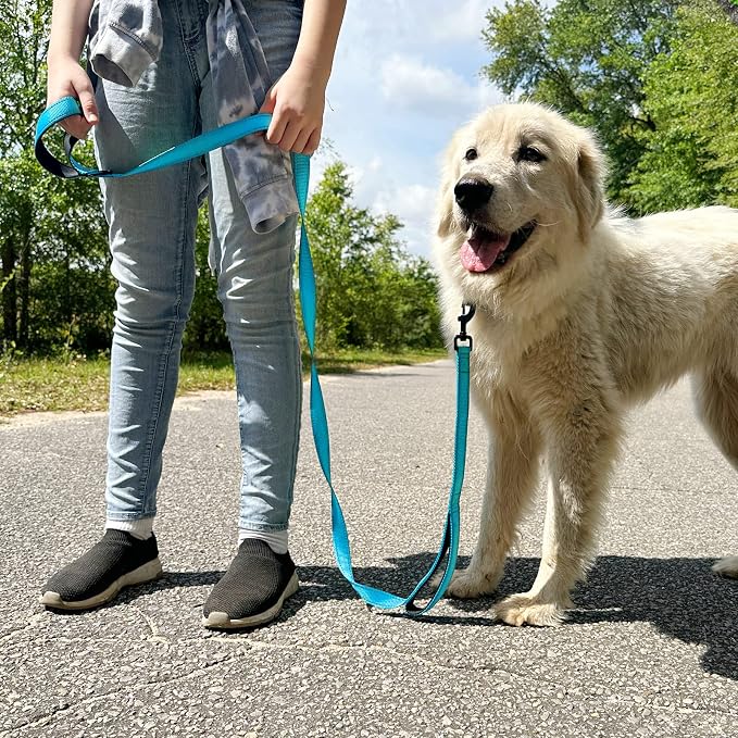 Joytale Dog Leash for Large Dogs that Pull, Double Handle, 6FT, Aqua Blue | Traffic Handle for Control, Padded Handle Reduces Hand Strain, Reflective Stitching for Night Safety, Strong Nylon Webbing - Image 7