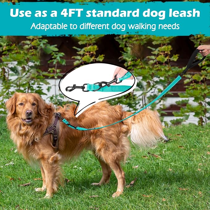 PetBonus Two Point Control Dog Leash, No Tangle Training Walking Leashes | Soft Padded Handle, Reflective, Works with No Pull Harnesses, Converts to Single Lead for Medium Large Dogs, Turquoise - Image 6