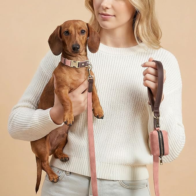 PU Leather Dog Leash for Small Dogs, 5ft Soft Padded Handle, Pink | Comfortable Grip for Daily Walking Training, Full Control, Metal D-ring, Tangle-Free 360° Swivel Clasp, Easy to Clean, 5/8in - Image 2