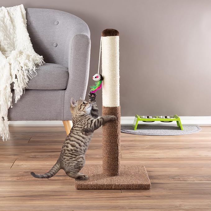 PETMAKER Cat Scratching Post - Tall Scratcher for Cats and Kittens with Sisal Rope and Carpet, Hanging Mouse Toy for Interactive Play (24.5 Inch) - Image 5