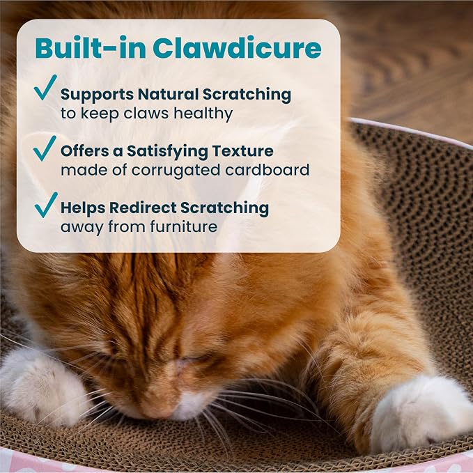 Catstages Scratch & Snuggle 2-in-1 Cat Scratcher & Lounger, Corrugated Cardboard Scratching Pad, Bowl-Shaped Design for Kittens & Indoor Cats up to 15 lbs, 16" - Image 3