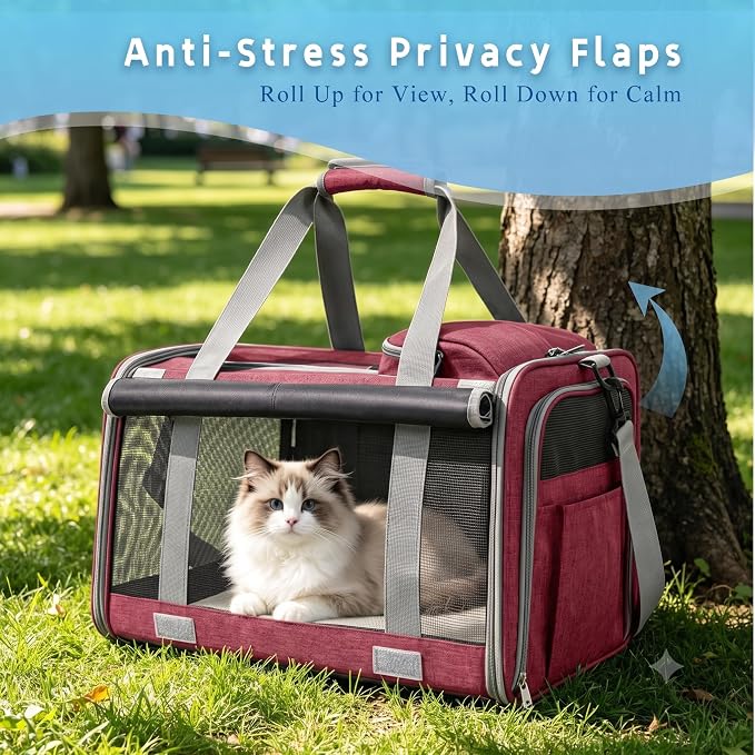 Pet Carrier for Medium-Small Cats, Collapsible Cat Carrier and Soft-Sided Pet Carrier for Medium Big Cats and Puppy Up to 17lbs, 2-Way Entry with Privacy Cover, Travel Bag L18.9”X11.42”X11.42” - Image 2