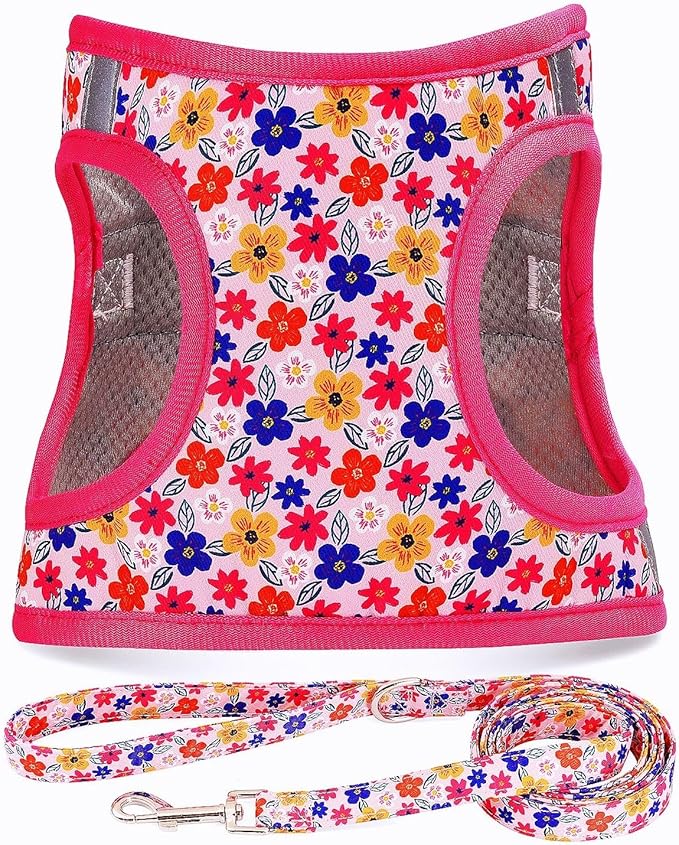 Step in Dog Harness Leash Set- All Weather Reflective No-Pull Floral Pattern Padded Mesh Vest Harness for Cats Puppy Extra-Small Small Medium Large Dogs - Romantic Sakura - S by MOONPET