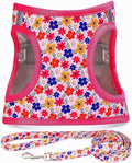 Step in Dog Harness Leash Set- All Weather Reflective No-Pull Floral Pattern Padded Mesh Vest Harness for Cats Puppy Extra-Small Small Medium Large Dogs - Romantic Sakura - S by MOONPET