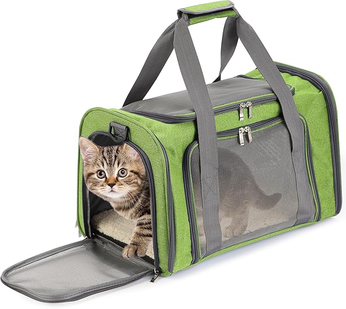 Mr. Pen- Pet Carrier, 17.5" x 11.2" x 11.5", Medium Size, Green | Portable Travel Carrier for Small Pets, Cats & Small Dogs, Breathable Mesh, Safety Inner Leash by MrPen