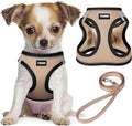 No Pull Dog Puppy Harness and Leash Set Reflective Mesh Vest XX-Small by YIMEIS