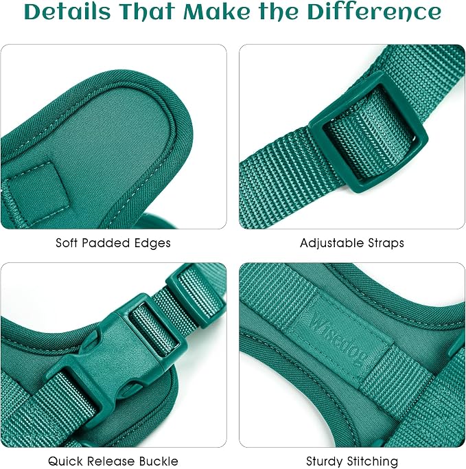 Wisedog Lightweight No Pull Dog Harness, Emerald Green, X-Small | Air Mesh, 3 Clips, Adjustable, No Choke Design, Ideal for Walking Training - Image 3