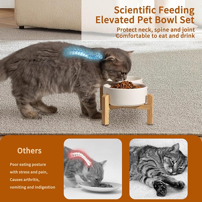 Elevated Ceramic Dog Bowl, 2 Cups Dog Food and Water Bowl Set with Stand | 5.1'' Double Dog Feeding Dishes, Non-Slip Raised Dog Feeder for Cats and Puppies, 16.23 OZ / 480 ML, White - Image 4